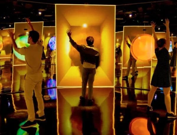 Ambiance immersive - Expérience TOI au MOIR