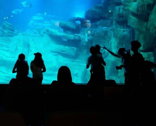 Aquarium de Paris - Bassin principal