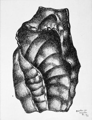 Fernand Léger – Quartier de mouton