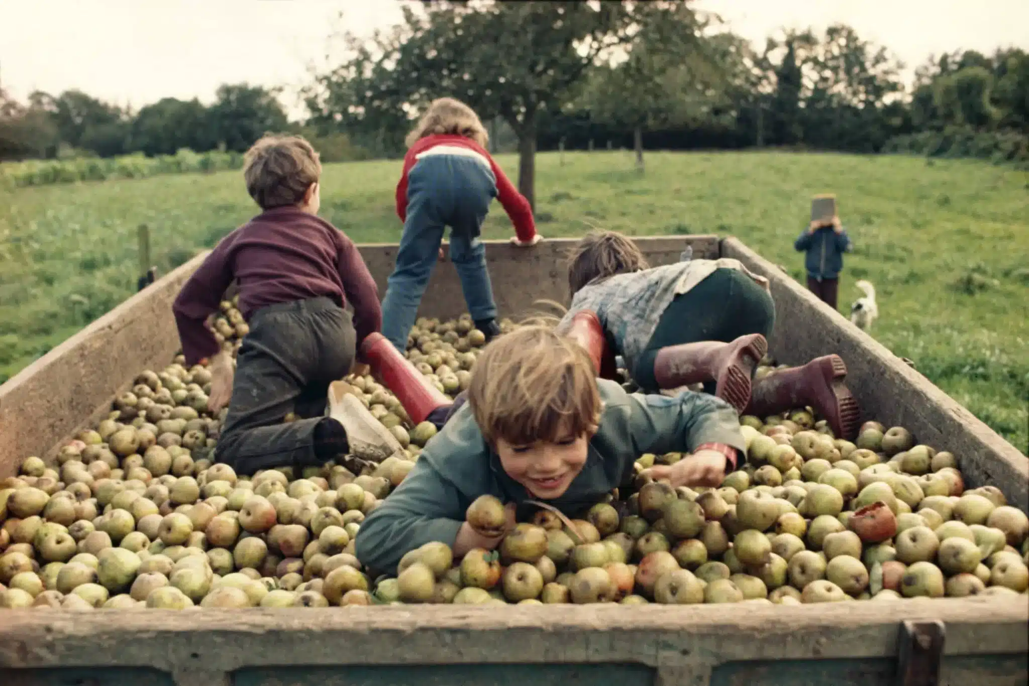 Madeleine de Sinéty – La Charrette de pommes, Poilley