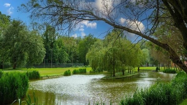 Le parc et l’étang du domaine de Bellejame au Centre National de Rugby de Marcoussis