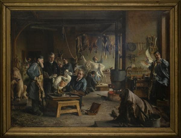 Henri Coeylas – Au Muséum. Laboratoire de taxidermie. Reconstitution du dronte