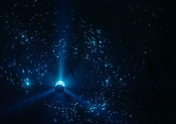 Julian Charrière – Midnight Zone